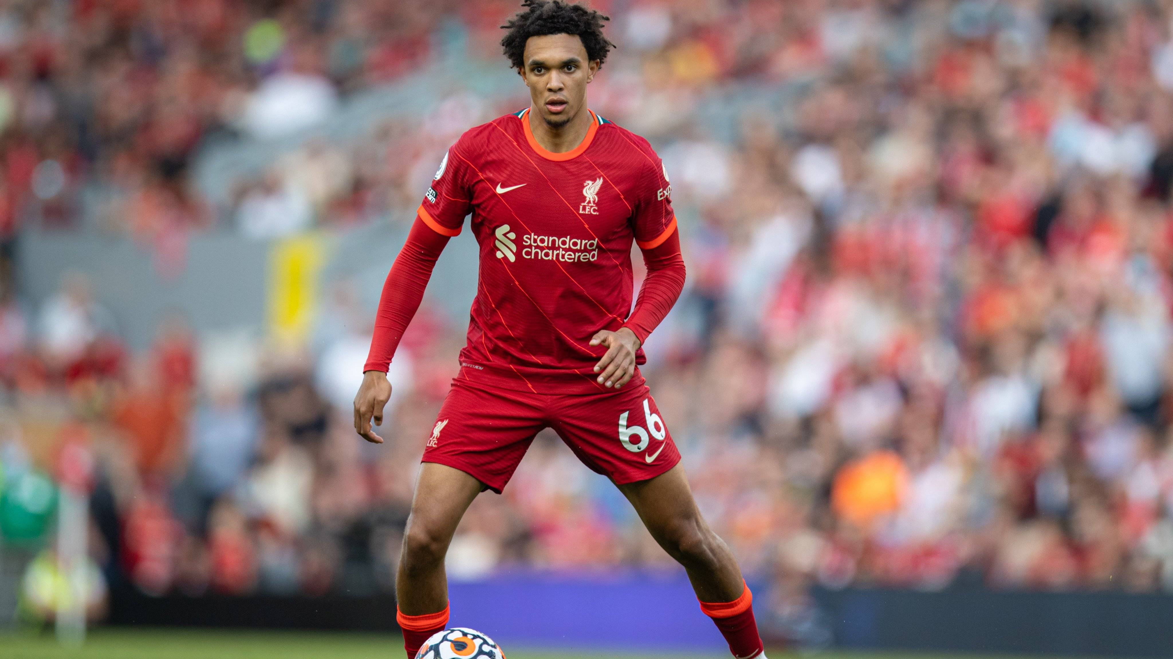 包含转会期底特律活塞调整名单以备NBA总决赛，队长鼓劲环节打磨，赛场秩序良好，阵容厚度经受考验的词条